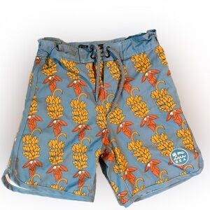 Boys of one sea swim board shorts size 9/10